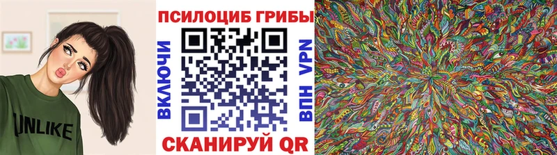 Галлюциногенные грибы мицелий  Новосиль 