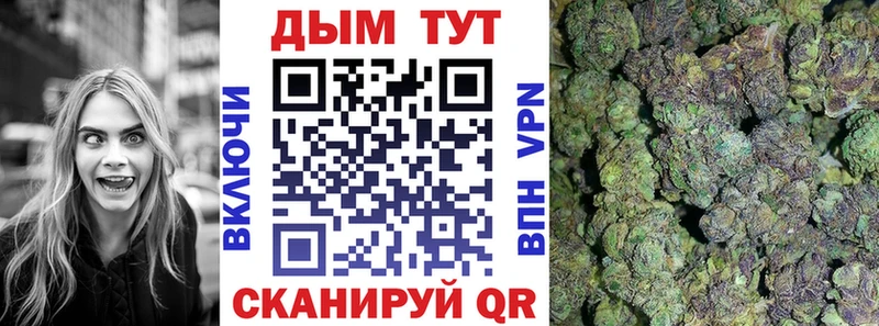 маркетплейс формула Новосиль Шишки марихуана семена
